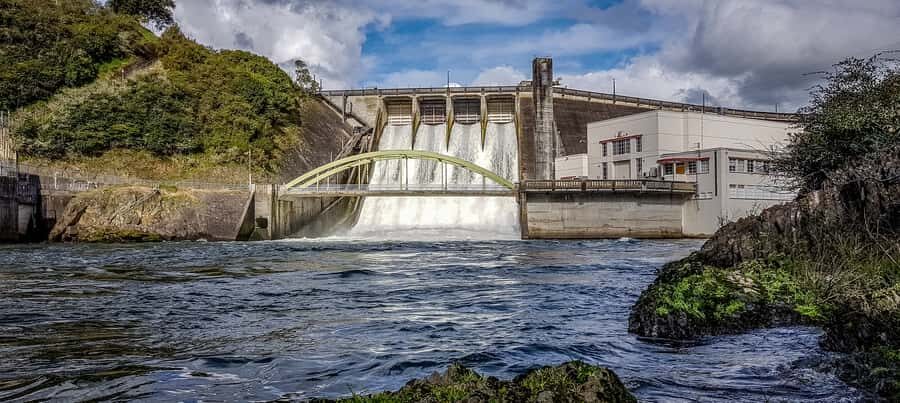 Cambridge, Matamata, Waitomo: 1-Hour Ecological River Cruise - The Highlights: What You’ll See and Experience