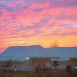 Camel Safari With Night Stay in Camp - Who Would Enjoy This Experience