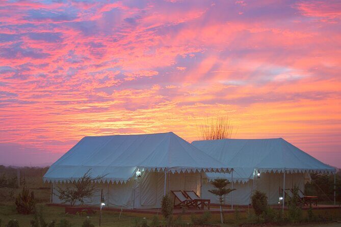 Camel Safari With Night Stay in Camp - Who Would Enjoy This Experience