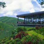 Cameron Highland Day Tour From Kuala Lumpur By Group - Who Will Love This Tour