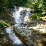 Cameron Highland Day-Trip from Kuala Lumpur - Who Will Love This Tour?