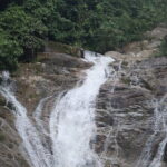 Cameron Highland Full Day Tour from KL City Private Tour - Cameron Highlands: The Heart of the Tour