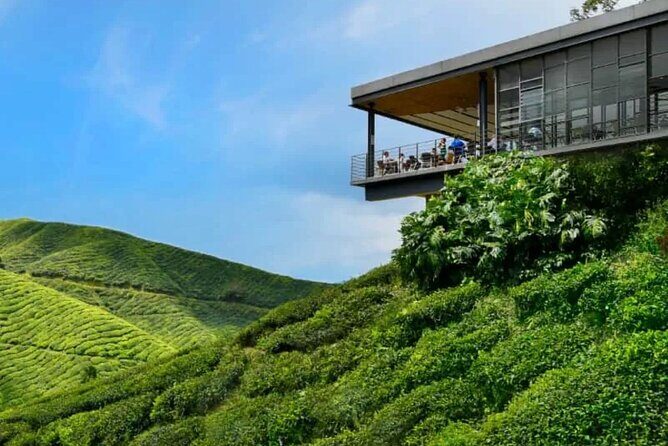 Cameron Highlands Day Tour from Ipoh -Tea Plantation - Practical Details and Considerations