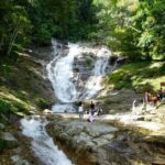 Cameron Highlands Full Day Nature Tour - Final Thoughts