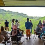 Cameron Highlands Private Day Tour from Kuala Lumpur - What Makes This Tour a Good Value?