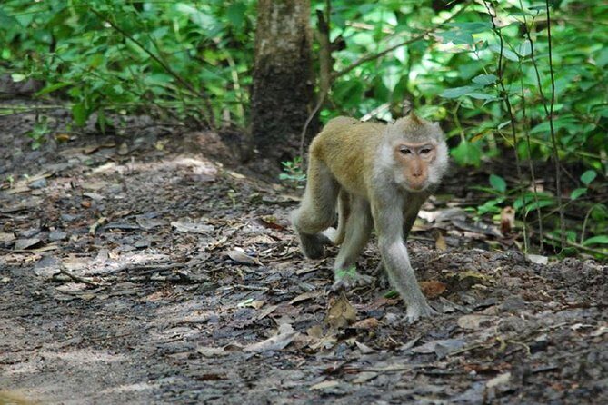 Can Gio Forest day trip by speedboat - What Travelers Are Saying (Based on Reviews)