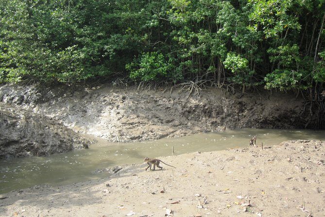 Can Gio Mangrove Biosphere Reserve 1 day - The Authentic Experience: Tips from Past Travelers