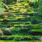 Can Gio Mangrove Forest, Thanh An Island, Vung Tau 2 Days Tour - The Ferry to Thanh An Island