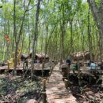 Can Gio: Monkey Island, Guerilla Camp, Mangrove Forest - The Realities and Some Caveats