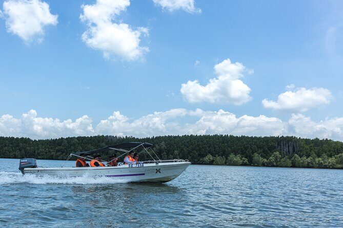 Can Gio - Vam Sat Mangrove Tour Forest - Final Thoughts