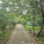 Can Gio Wildlife & Culture Experience  Scenic Boat Tour - What Travelers Can Expect and Why It Matters