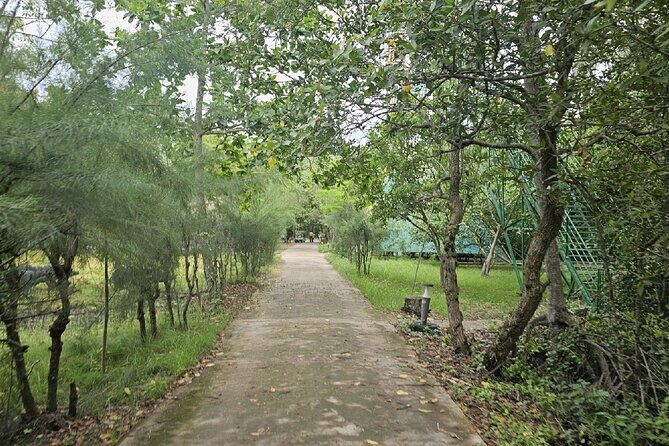 Can Gio Wildlife & Culture Experience  Scenic Boat Tour - What Travelers Can Expect and Why It Matters