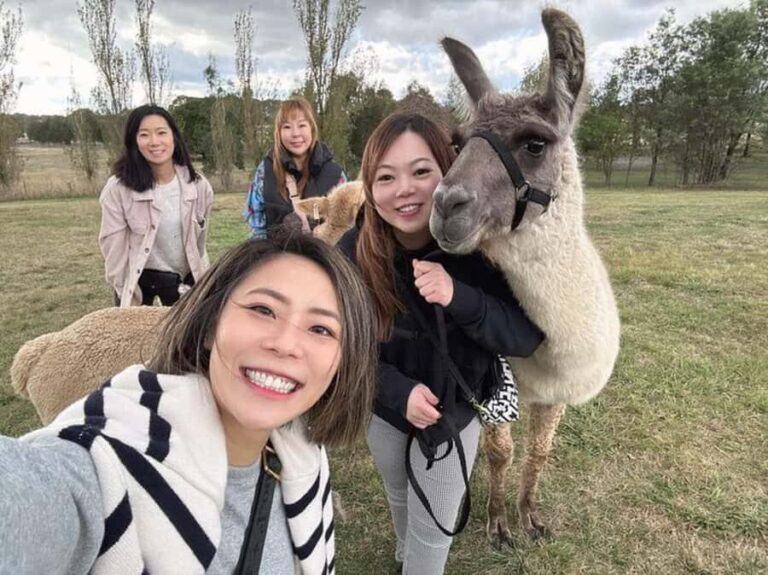 Canberra: Alpaca Adventure Farm Tour (morning tea included) - What to Expect: An Authentic Farm Encounter