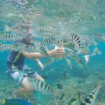 Candidasa Snorkling : Blue Lagoon & Tanjung Jepun - What to Expect at Each Stop