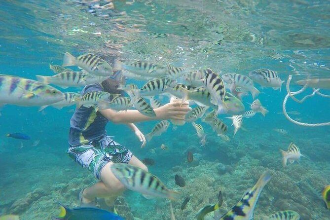 Candidasa Snorkling : Blue Lagoon & Tanjung Jepun - What to Expect at Each Stop