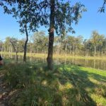 Canoeing and Nature walk in Chitwan National Park - Potential Drawbacks or Considerations