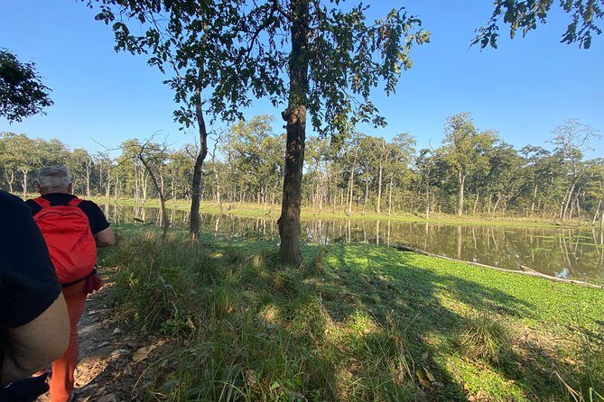 Canoeing and Nature walk in Chitwan National Park - Potential Drawbacks or Considerations