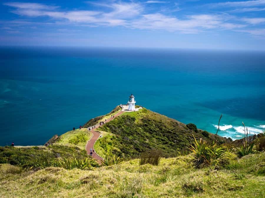 Cape Reinga: Day Trip from Paihia, Kerikeri, or Kaitaia - Discovering the Northern Coast of New Zealand