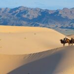 Captivating Central Mongolia with Guide - What’s Included & What’s Not?