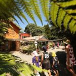 Captivating Railway Journey in Coromandel - Final Thoughts