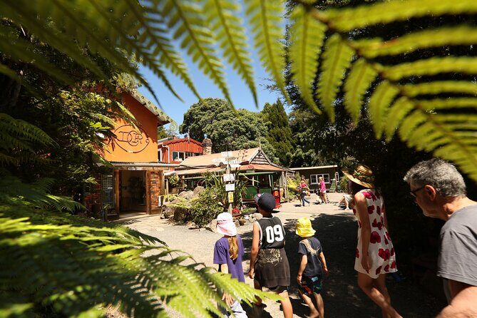 Captivating Railway Journey in Coromandel - Final Thoughts