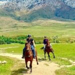 Cardrona High Country Pub Trail Horse Trek (Intermediate level+) - Detailed Itinerary Breakdown