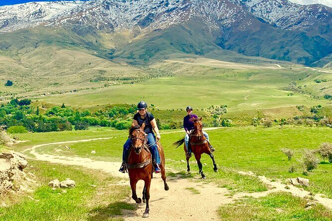 Cardrona High Country Pub Trail Horse Trek (Intermediate level+) - Detailed Itinerary Breakdown