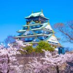 Castle Views and Merchant Tales: Osaka History Walk - Exploring Osaka’s Past: What to Expect