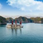 Cat Ba - Hanoi Bus & 1 day Lan Ha Bay Full Day - All-Inclusive - The Transport Experience