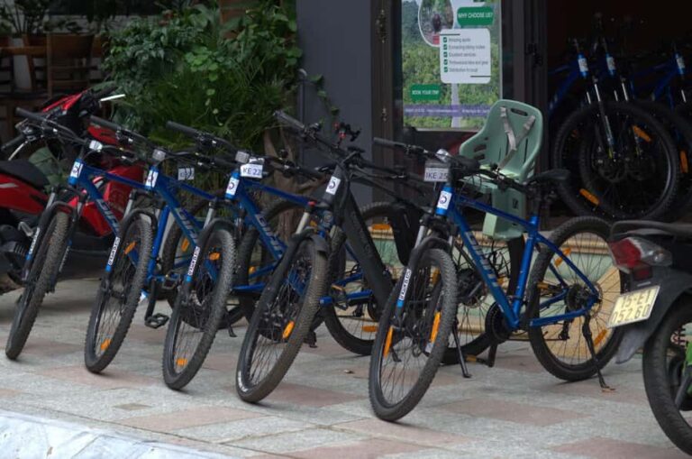Cát Bà Island: E-Bike Rental with Helmet - Why This Tour Works