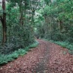 Cat Ba Island: National Park Cycling Tour with Picnic Lunch - Practical Details and Logistics