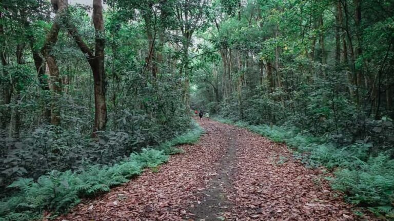 Cat Ba Island: National Park Cycling Tour with Picnic Lunch - Practical Details and Logistics