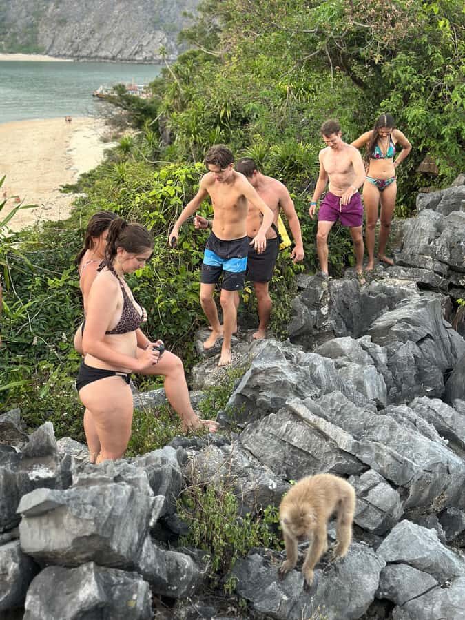 Cat Ba : Lan Ha Bay Boat Tour , Monkey Island and Sunset - Exploring the Itinerary in Detail