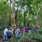 Cat Tien Day Trip from HCMC: Jungle Trek & Wildlife Safari - The Experience in Detail