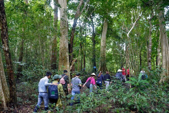 Cat Tien Day Trip from HCMC: Jungle Trek & Wildlife Safari - The Experience in Detail