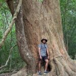 Cat Tien National Park 2-Day Tour: Biking, Trekking, Safari Night - What Makes This Tour Stand Out?