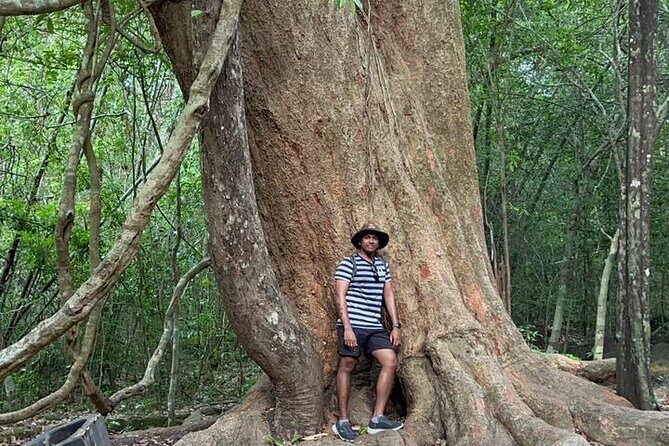 Cat Tien National Park 2-Day Tour: Biking, Trekking, Safari Night - What Makes This Tour Stand Out?