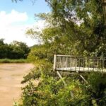 Cat Tien National Park: 2-Days Get Into The Heart Of Nature - First Day: Discovering the Forest’s Wonders