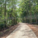 Cat Tien National Park Tour: Biking, Walking, Wildlife Safari - Who Is This Tour Best For?