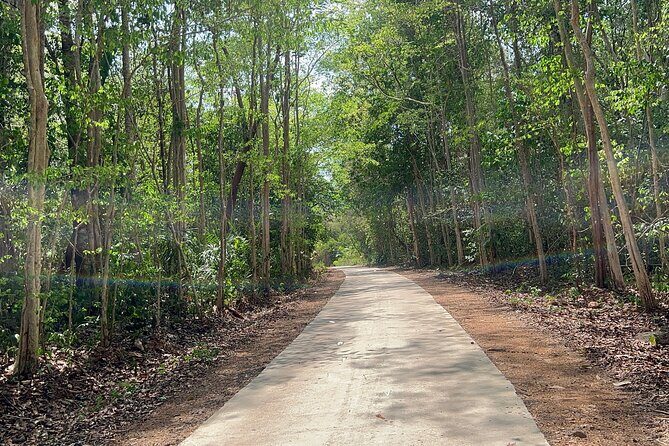 Cat Tien National Park Tour: Biking, Walking, Wildlife Safari - Who Is This Tour Best For?