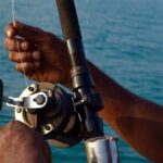 Catch the fish of a lifetime in adventurous waters  Negombo - Why This Tour Provides Good Value