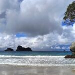 Cathedral Cove & Coromandel Private Experience from Auckland - What You Can Expect from This Full-Day Tour