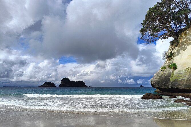 Cathedral Cove & Coromandel Private Experience from Auckland - What You Can Expect from This Full-Day Tour
