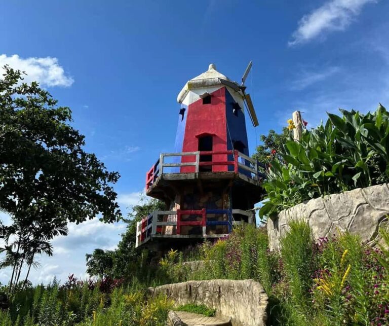 Cebu City: Heritage and Uphill Tour with 10,000 Roses - Who Would Love This Tour?