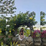 Cebu: Highlands Tour - Temples, Gardens & Scenic Views - Visiting the Cebu Taoist Temple