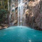 Cebu: Oslob Whale Shark, Tumalog Fall & Moalboal Turtle Tour - What Makes This Tour Stand Out?