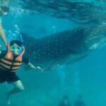 Cebu: Oslob Whale Sharks, Tumalog Falls and Sardines Snorkeling - The Itinerary Breakdown
