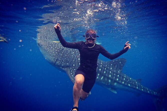 Cebu Oslob Whaleshark and Sumilon Island Full-Day Private Tour - Does the Tour Offer Good Value?