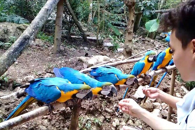 Cebu Safari Day Tour - Discovering Cebu Safari & Adventure Park