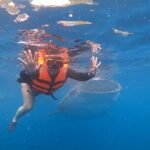 Cebu Splash Adventure: Swim with Sharks & Canyoneering + Lunch - Authentic Insights from Travelers